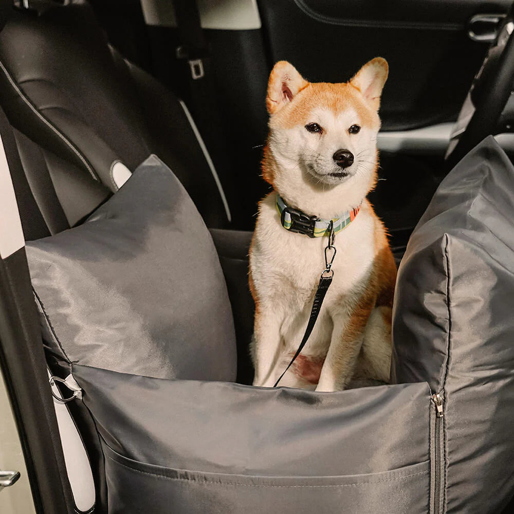 Hundbilsäng: Komfort och säkerhet vid transport