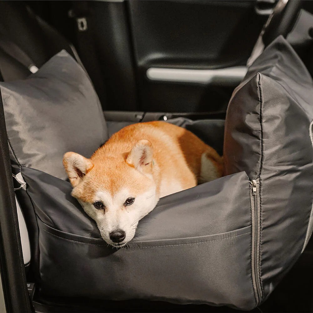 Hundbilsäng: Komfort och säkerhet vid transport