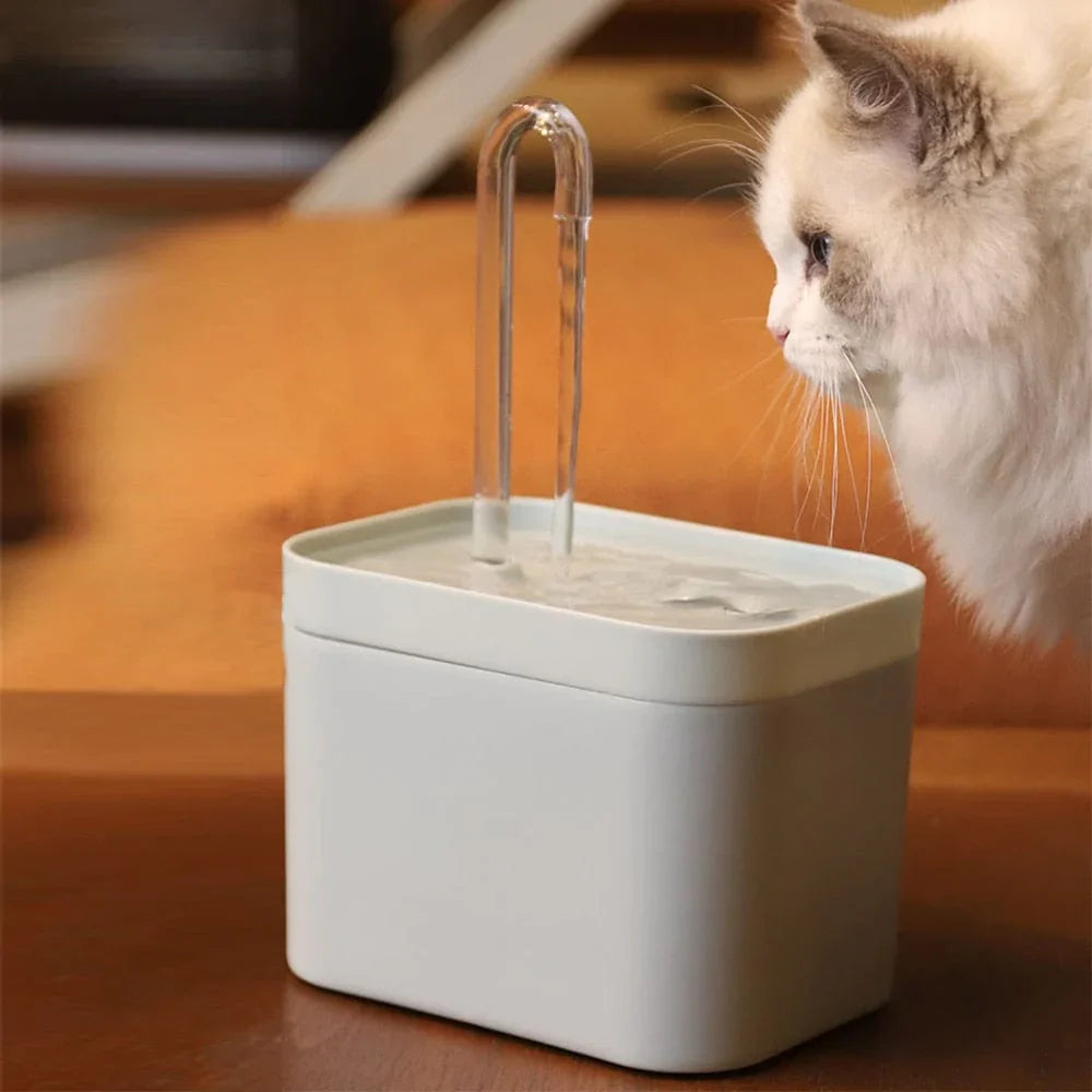 Vannfontene for optimal hydrering av katten din