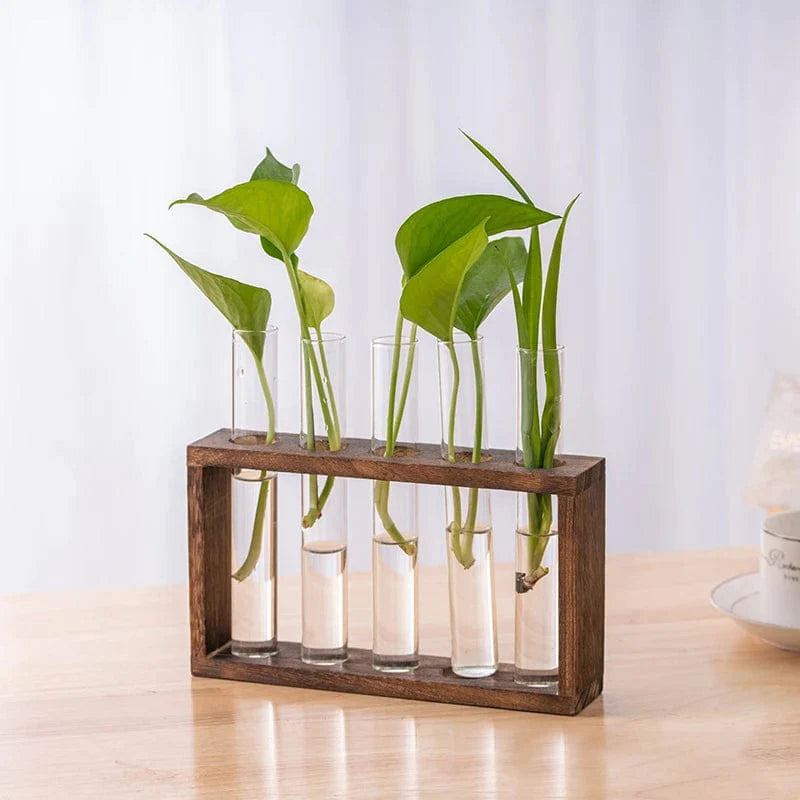 Aesthetic Hydroponic Tube Vase